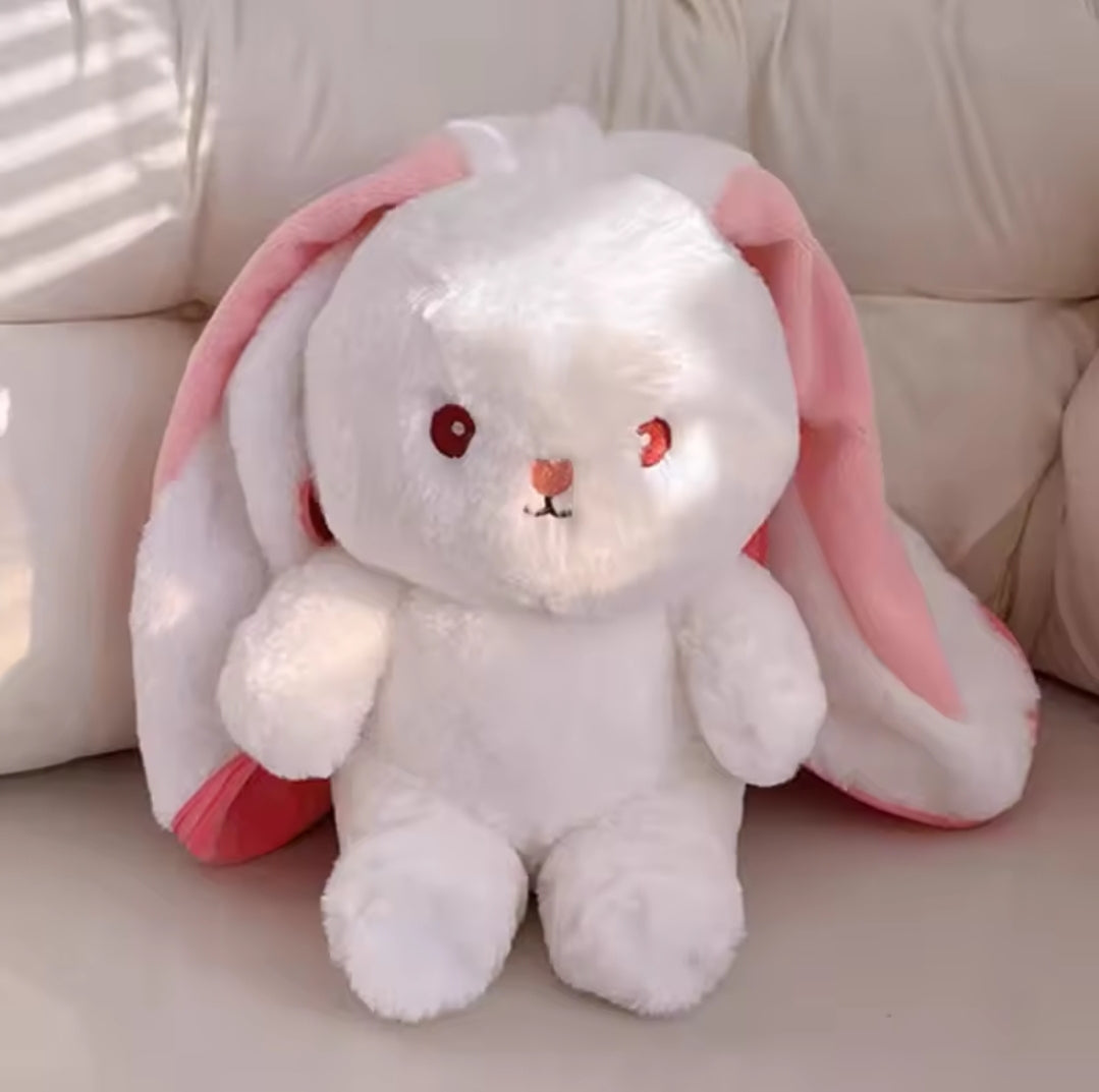 Cute carrot strawberry rabit